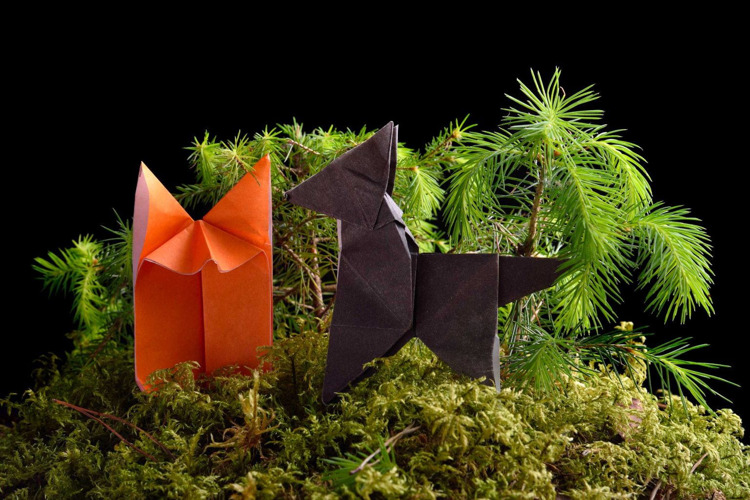 The Joy of Folding: How Origami Transforms Creativity – OrigamiFoldPro